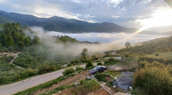 قیمت زمین در کجور نوشهر