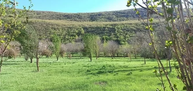 روستاهای زیبای کجور نوشهر