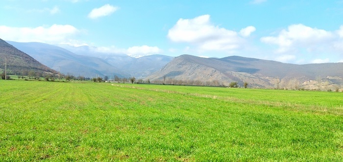 قیمت زمین در لرگان کجور